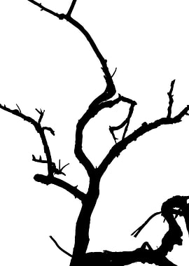 In memory of trees no3