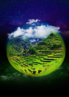 Banawe Rice Terraces