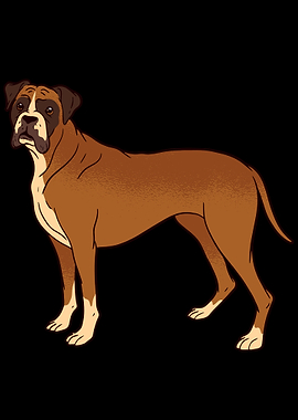 Portrait from a Boxer