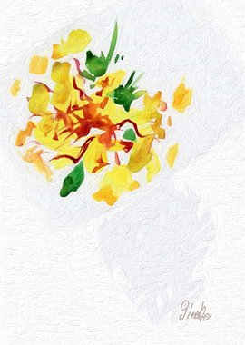 Sushi 4 Food Minimalism