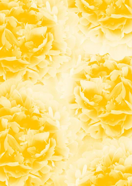 Yellow Peonies Dream 1