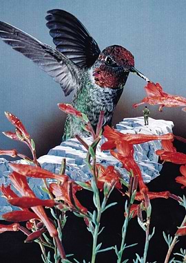 Bird Trainer [collage]