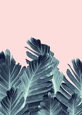 Blush Blue Banana Leaves 1