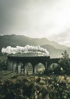 Steam Train