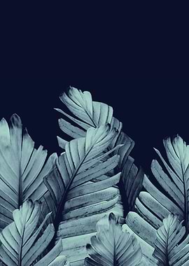Navy Blue Banana Leaves 1