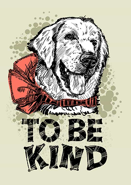 Labrador Golden Retriever