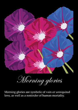 Morning glories poster