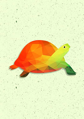 TURTLE COLORFUL