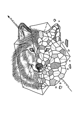 Aniometry Wolf