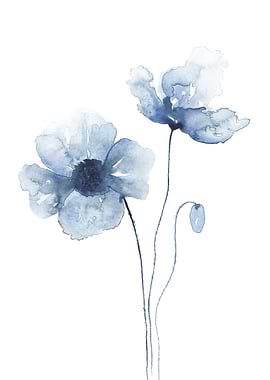Blue Poppies No 2