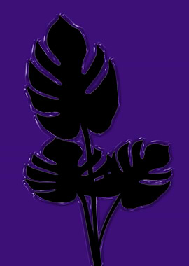 COSTELA DE ADAO LACK