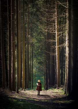 Into The Woods