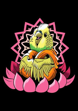 Budgie Budgerigar Yoga