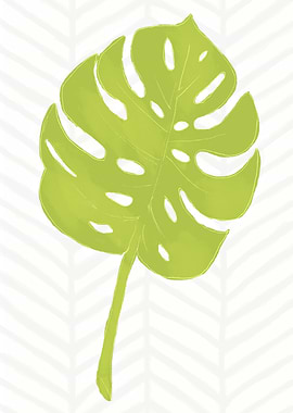 Tropical Green Monstera