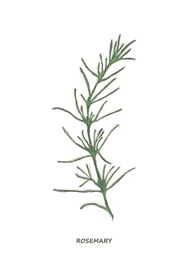 Rosemary