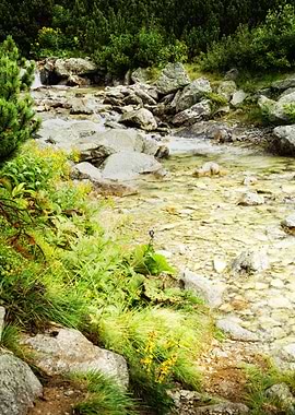 Mountain rocky river