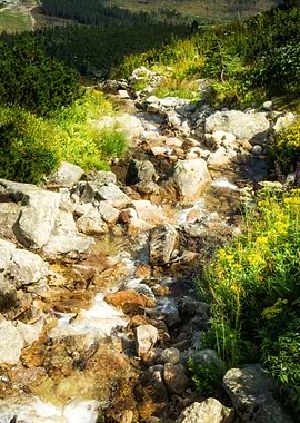 Mountain rocky river