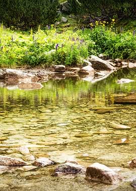 Mountain rocky river