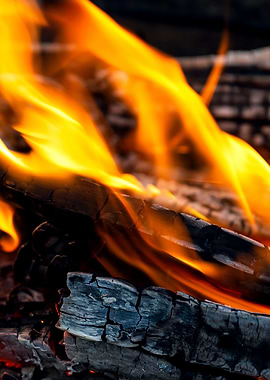 Burning Wood Vertical