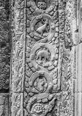 Dinosaur of Ta Prohm