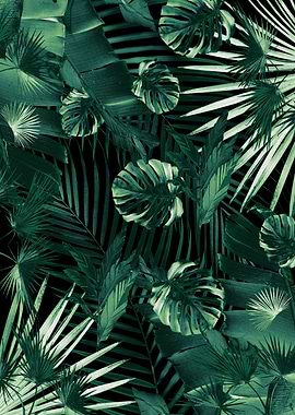 Jungle Night Siesta 1