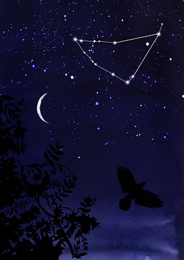 Starry Night and Moon