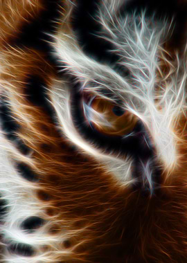 abstract tiger