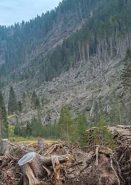 devastation after hurrican