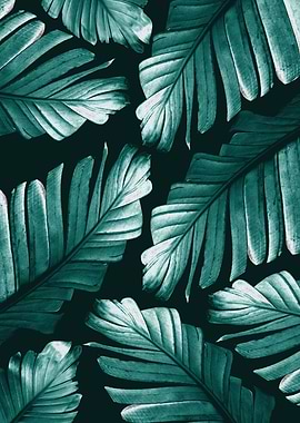 Tropical Banana Leaves 2