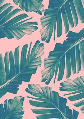 Blush Banana Leaves 3