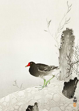 Black bird japanese art