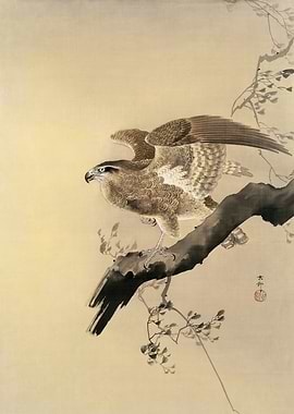 Hawk Japanese woodblock