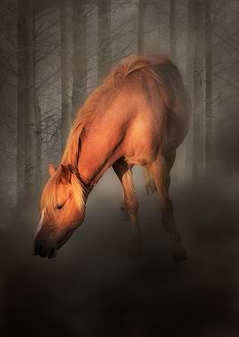 Horse in the mist