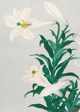 Lilies Japanese woodblock