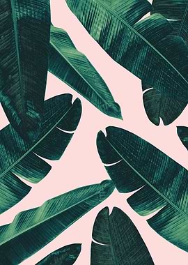 Banana Leaves Cali Vibes 1