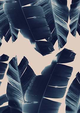 Banana Leaves Tropical 6