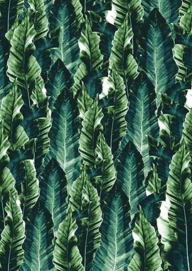 Green Vibes 1 tropical