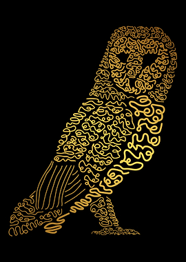 Owl bird in the dark