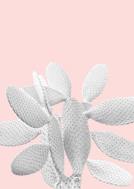 White Blush Cacti Vibes 1