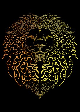 Lion head in the dark
