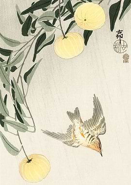 Cuckoo in flight woodblock
