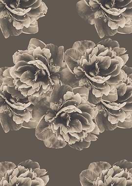 Sepia Peony Flower 1