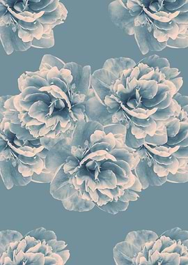 Blush Blue Peony Flower 1