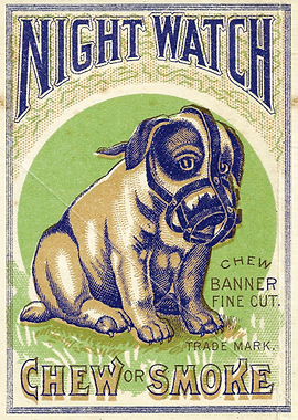 Night Watch in Color