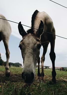 What Are You Looking At