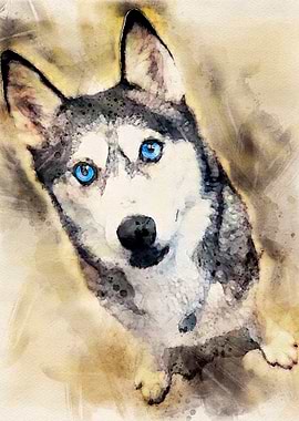 Tika ani our SiberianHusky