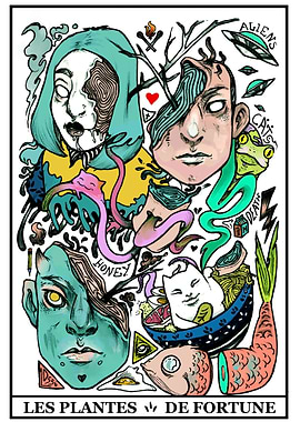 LES PLANTES DE FORTUNE