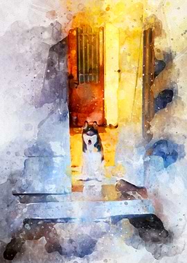 Tika ani our SiberianHusky