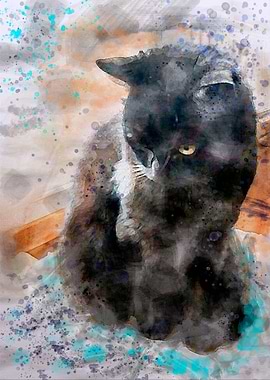 Edna our dainty lady cat