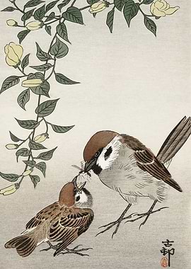 Sparrow feeding its chick